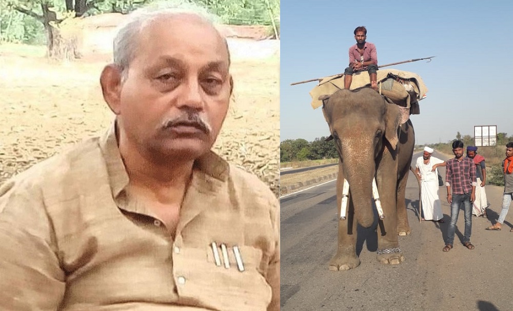 विधानसभा अध्यक्ष बनने के बाद पहली बार विशेष विमान से रीवा पहुंचेंगे गिरीश गौतम, जोरदार स्वागत की तैयारी, यूपी से मँगाए गए हांथी और राजस्थान से ऊँट : REWA LOCAL NEWS